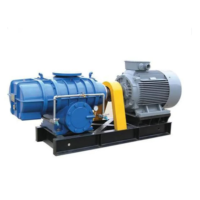 Kai tsaye Haɗaɗɗen iska Rotary Blowers: Ƙarfafa Ƙarfi da Ƙarfi