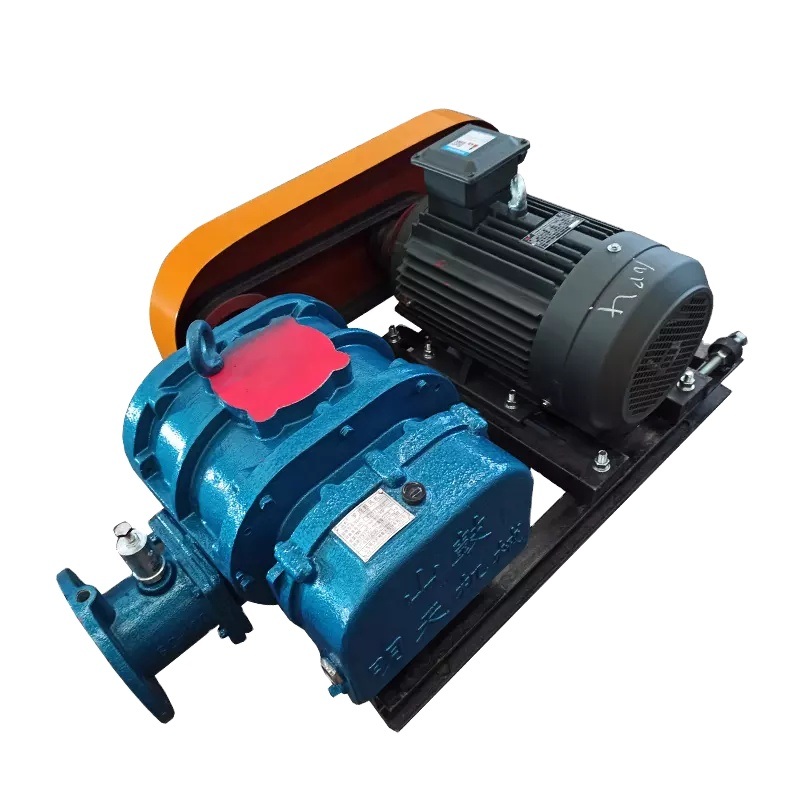 Ƙarƙashin Ƙarshen Amo Constant Gudun Lobe Uku Rotor Tushen Vacuum Pump