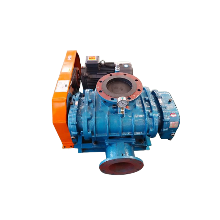 Shirya Tushen Abinci Vacuum Pump